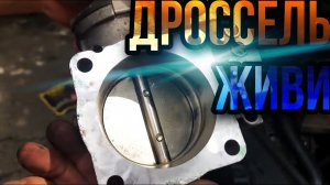 Чистка и АДАПТАЦИЯ ДРОССЕЛЬНОЙ заслонки