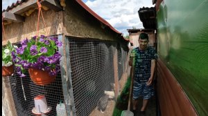 Помогаю на даче. Интересная прогулка вокруг наших садов.