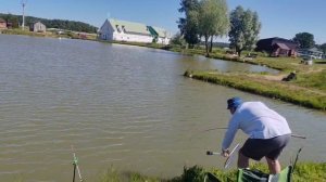 ещё одни карп в подсаке