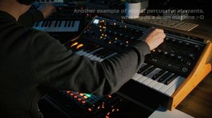 SOLITARY RELAY ｜ Berlin School Synth Journey. Moog & Sequential.