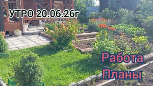 УТРО.РАБОТА.ПЛАНЫ.20.06.26г