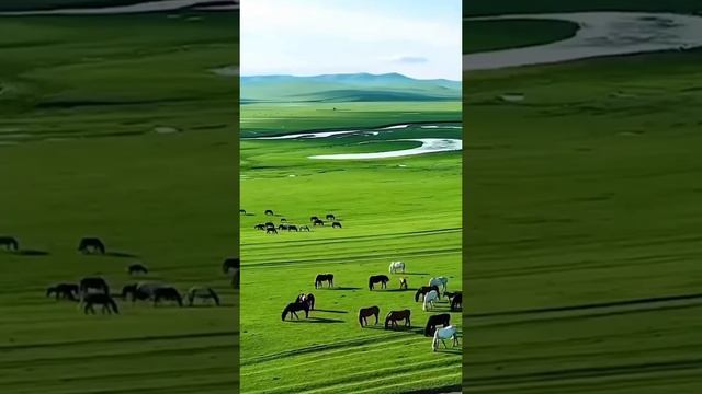 9949.mp4 смотреть онлайн