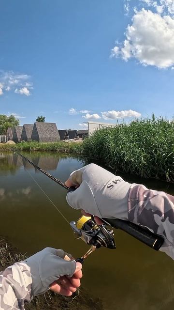 На окуня с XESTA Black Star Extra Tuned The Finesse Unison S54SUL-S. Вольфрам 0.6гр + Polaris 1.8’’