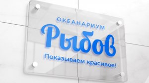 Мешок креатина