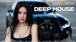 Melodic House 2026 ｜ Night Drive Vibes & Sophisticated Feelings