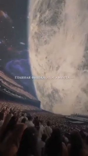 Сфера MSG