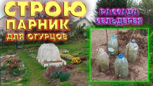 Строю парник для огурцов
