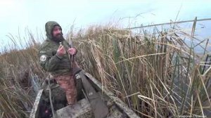 Зашли на болотоходе через камыши. Утка отходит. Но результат отличный.