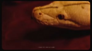 BigXthaPlug - Hell At Night feat. Ella Langley (Official Visualizer)