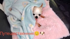 ЖИЗНЬ В СЕЛЕ: часть1/ЕДЕМ К ДЕТЯМ В САМАРУ