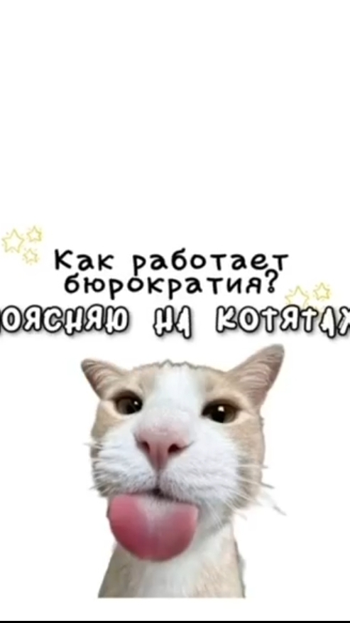 как работает бюрократия смотреть онлайн