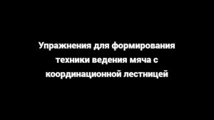 Упражнения для формирования техники ведения мяча с теннисным мячом и координационной лестницей