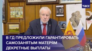 В ГД предложили гарантировать самозанятым матерям декретные выплаты