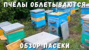 Пчёлы облетываются! Обзор пасеки и работы в начале сезона 🐝