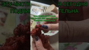 В ДНИ РАВНОДЕНСТВИЯ ПО ПРОСЬБЕ ТВОИХ ПРЕДКОВ