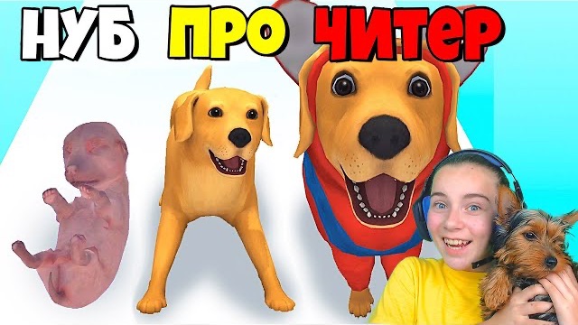ЭВОЛЮЦИЯ СОБАЧЬЕЙ ЖИЗНИ, МАКСИМАЛЬНЫЙ УРОВЕНЬ Dog Life Simulator смотреть онлайн
