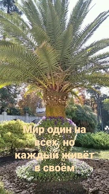 #shorts # Мир один на всех, но каждый живёт в своём