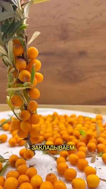 Как быстро собрать облепиху.