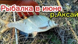 Рыбалка на реке Аксай Ростовская область.
