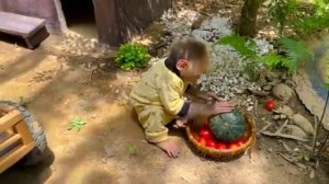 Жизнь маленькой обезьянки 46часть😁друзья любят помидоры!?!