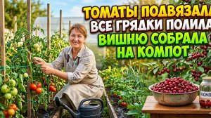 Летние заботы: огород держать в порядке, урожай сохранить