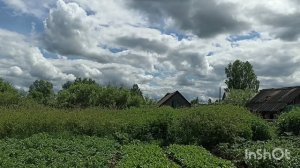 На обед пельмени.Неприятность в огороде.