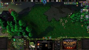 Расходитесь! Здесь не на что смотреть в Warcraft 3 Reforged