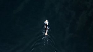 Secret Frequency   Far Beyond the Tide