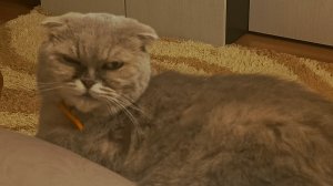 стрим 13 (часть 2)