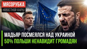 Венгрия вычеркнула Украину из скоростного лифта в ЕС: Мадьяр нанёс удар по Киеву