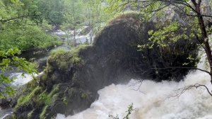 В Печенгский район на день