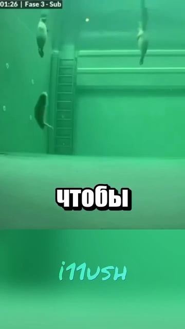 21-06-2026 смотреть онлайн