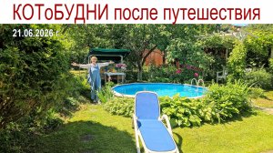 Лето - это маленькая жизнь или КОТоБУДНИ середины июня 2026 года