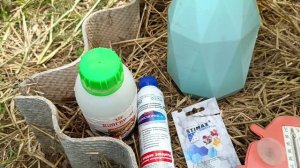 Обработка томатов по листу баковой смесью на основе фитоспорина