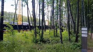 Возведение основных конструкций станции Липовая Роща Рублёво-Архангельской линии