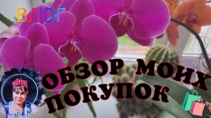 НОВЫЙ ОБЗОР МОИХ ПОКУПОК 🛍️. СНОВА БОЛТАЮ😉.КУСОЧЕК МОЕЙ ЖИЗНИ ☺️🤗