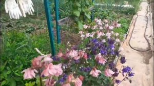 Жизнь после инсульта.Отдых у родителей на даче.