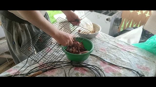 Отдохнули в гостях - разными камерами
