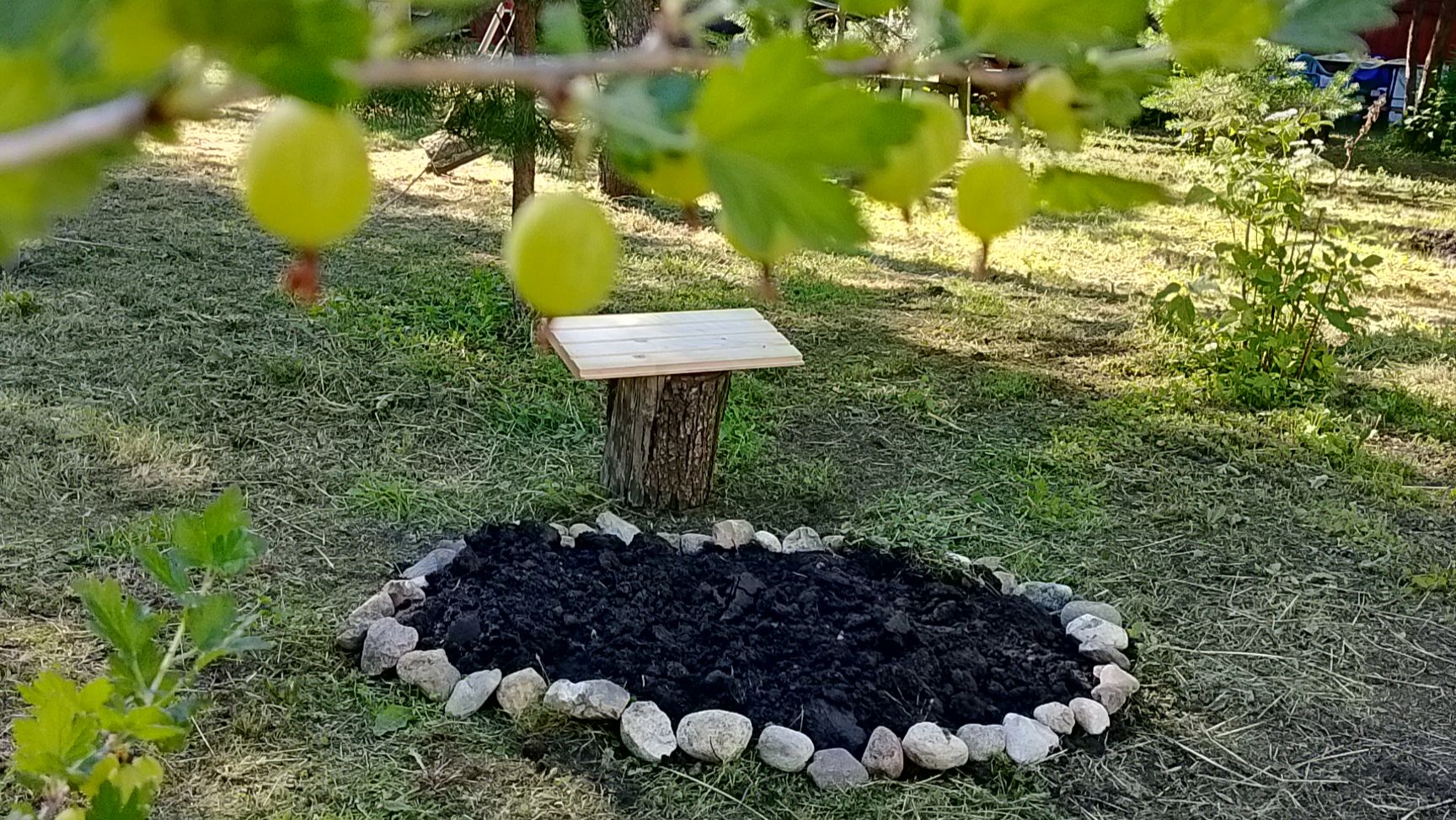 Новые грядки 🍓 Продолжение