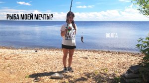 Поймай момент и рыбу: кемпинг мечты на берегах Волги