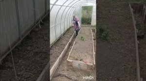 ПРОПОЛКА В ПАРНИКЕ ТРАВУШКИ МУРАВУШКИ