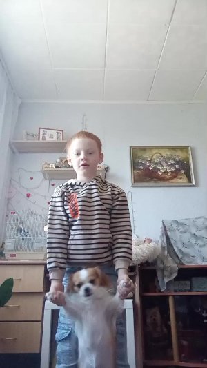 зарядка с собакой
