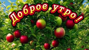Доброе воскресное утро! Красивая музыкальная открытка.