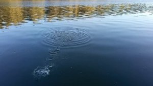 Рыбалка на Оби. Субботнее утро.