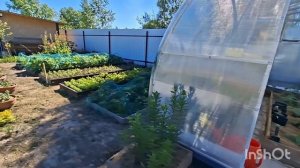 Наши 8,4 сотки 🏡 Занялась высадкой новых лилий.А мужчины заняты  этапом вязки каркаса под фундамент