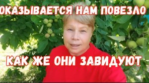 286Новая стрижка/Как же нам оказывается повезло/Собираю все по заказам/Скосила траву/Опять огурцы