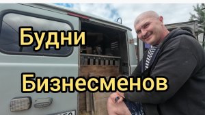 БУДНИ БИЗНЕСМЕНОВ! СРУБИЛИ ДЕНЕГ! ПОЙМАЛИ КОРШУНА! КОПАТЕЛИ. #заработок #копметаллолома #металлокоп
