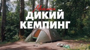 Наш первый дикий кемпинг | Можайское водохранилище