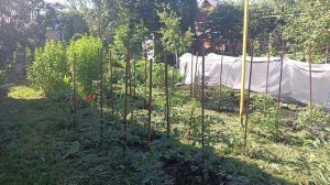 КАКУЮ КРАСОТУ Я КУПИЛА 👍 ПОСЛЕДНИЕ НОВОСТИ 🙏