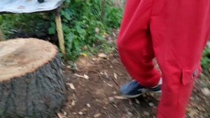 Жарим шашлык. Часть 3